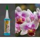 FITO csepegtető - Orchidea   1 db, Spec. műtr., orchidea